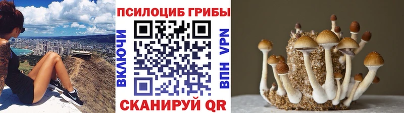 Галлюциногенные грибы MAGIC MUSHROOMS  Амурск 